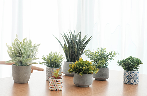 Refresh your space with greenery