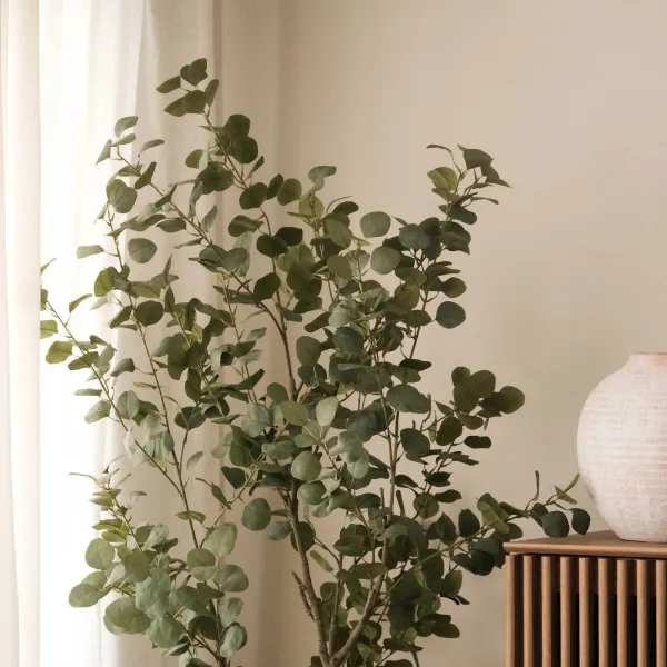 Eucalyptus Tree 180cm In White Pot