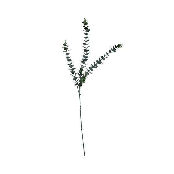 Eucalyptus Stem 76cm
