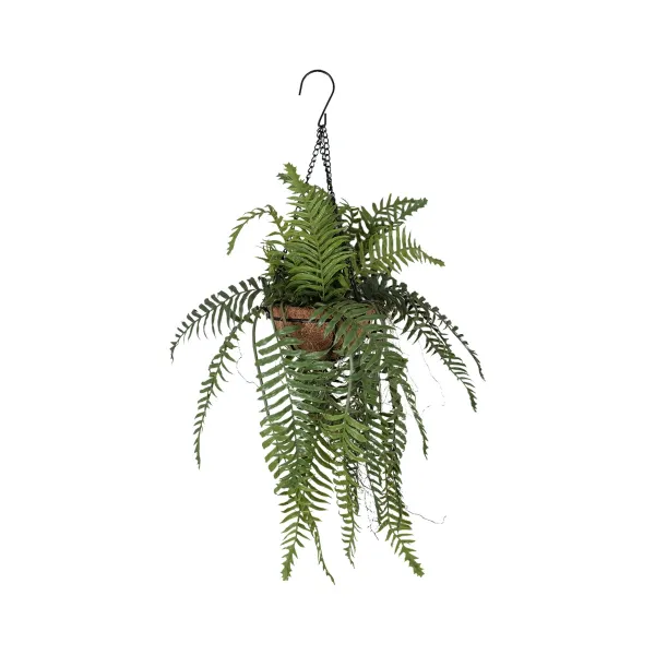 Hanging Fern 60cm