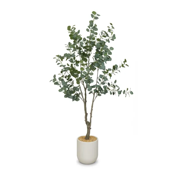 Eucalyptus Tree 180cm In White Pot