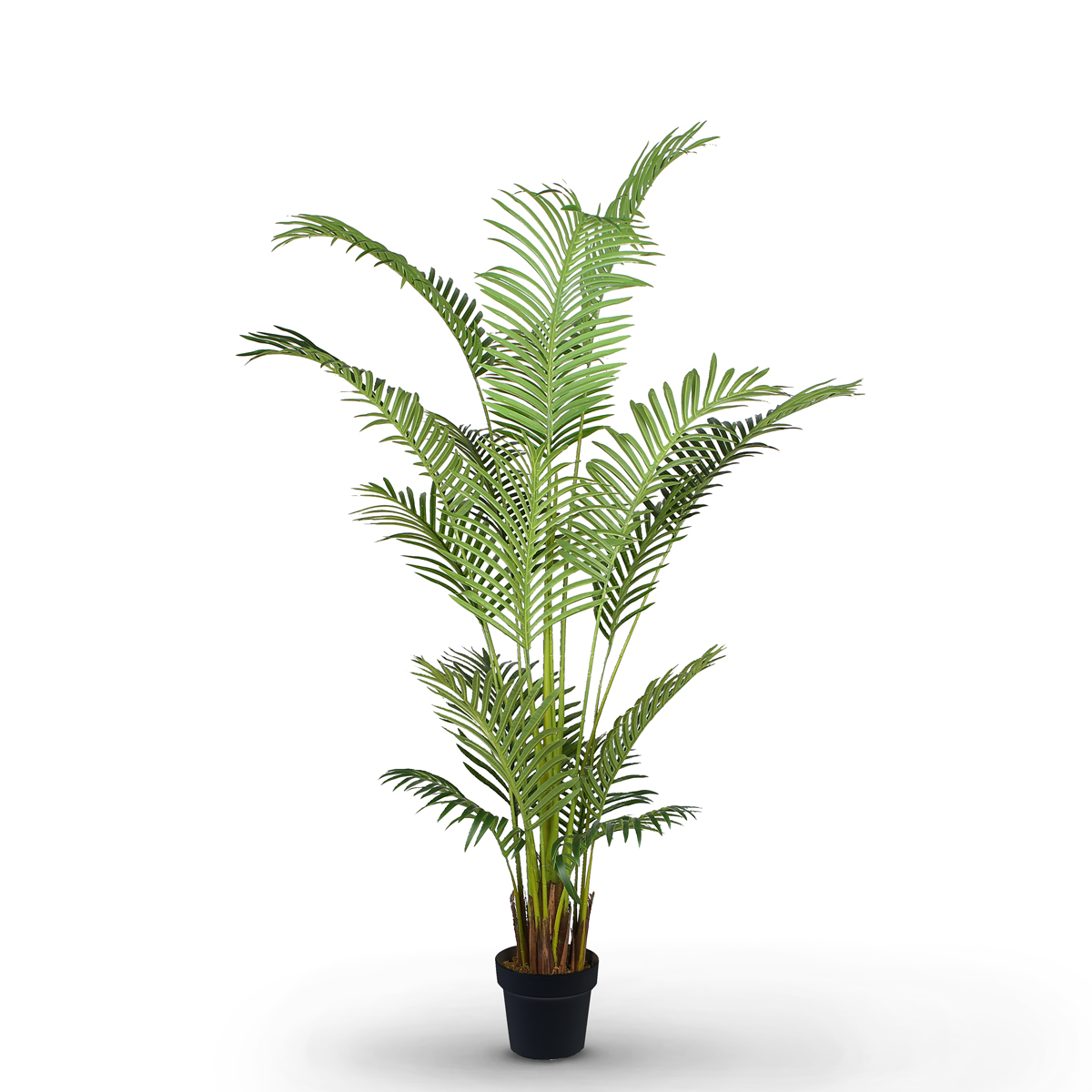 Palm Tree 180cm