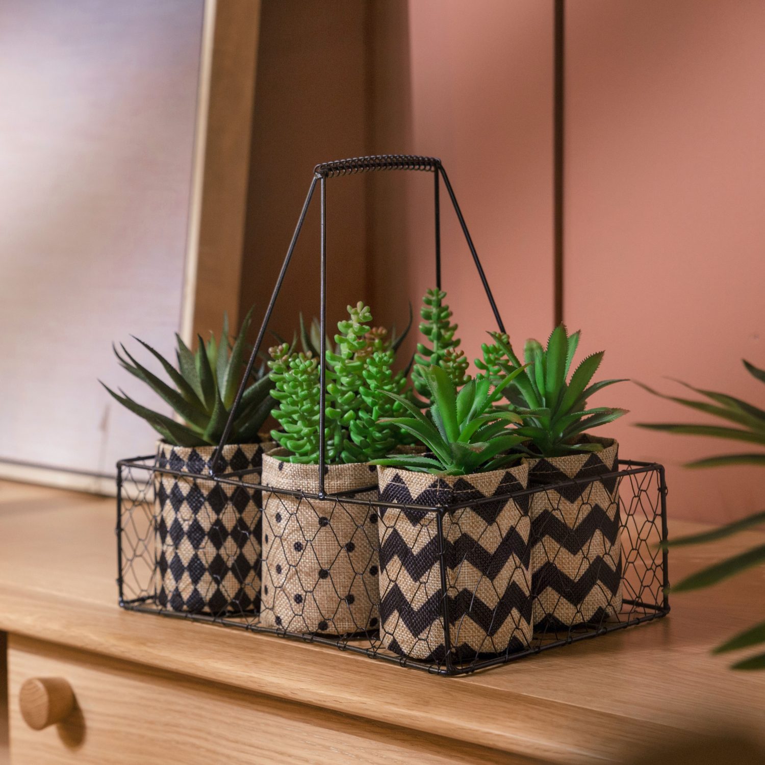 Mixed Succulent in Fabric Bag with Metal Basket