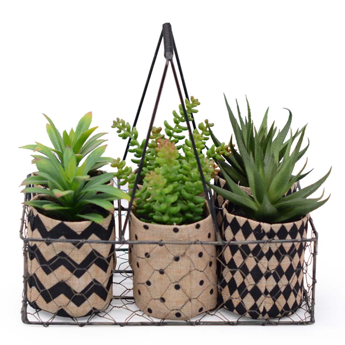 Mixed Succulent in Fabric Bag with Metal Basket