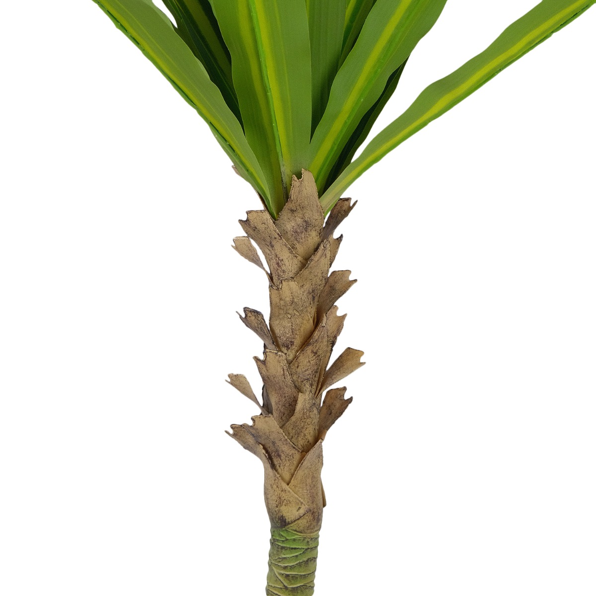 Dracaena Tree 190cm