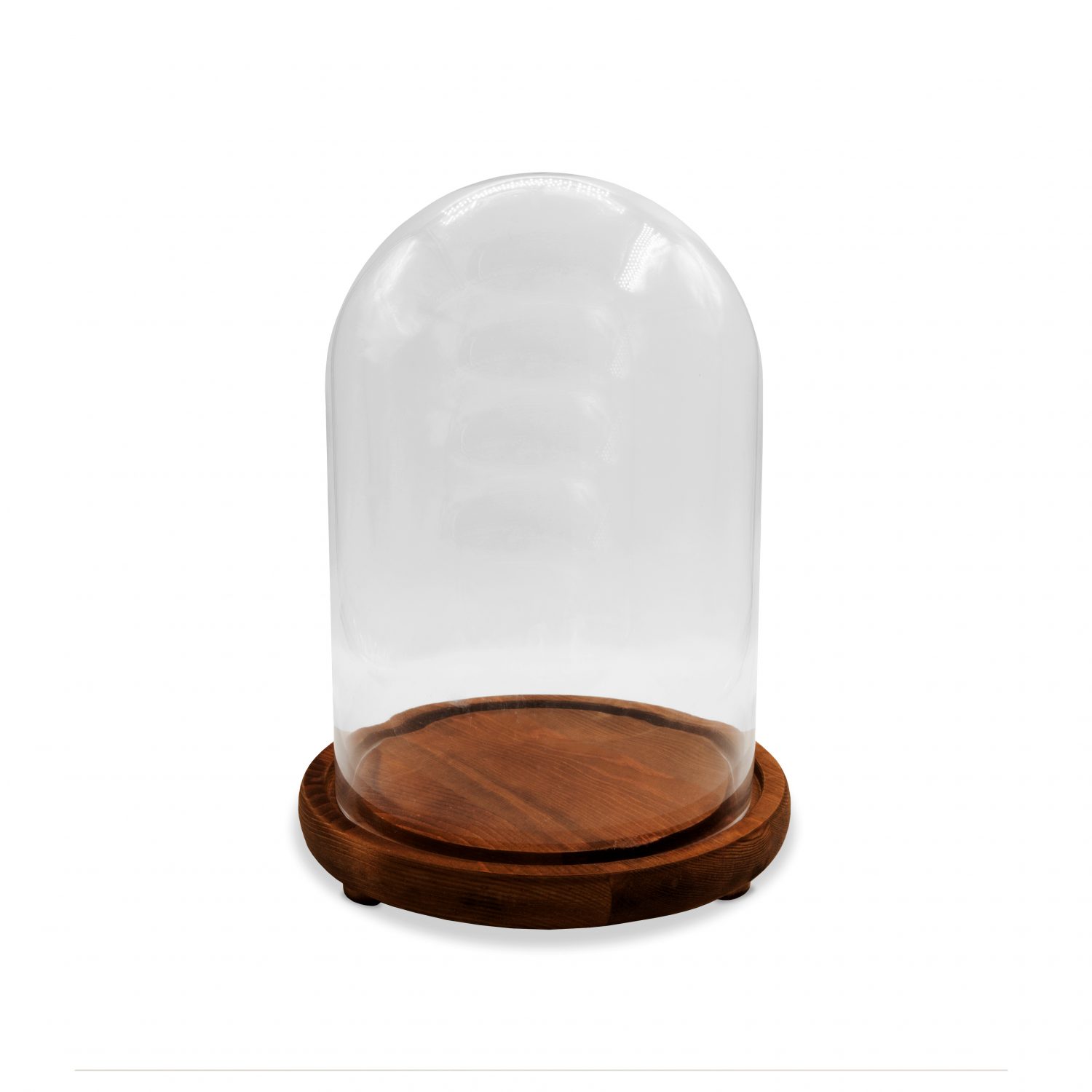 Olivia Glass Dome with Wooden Base