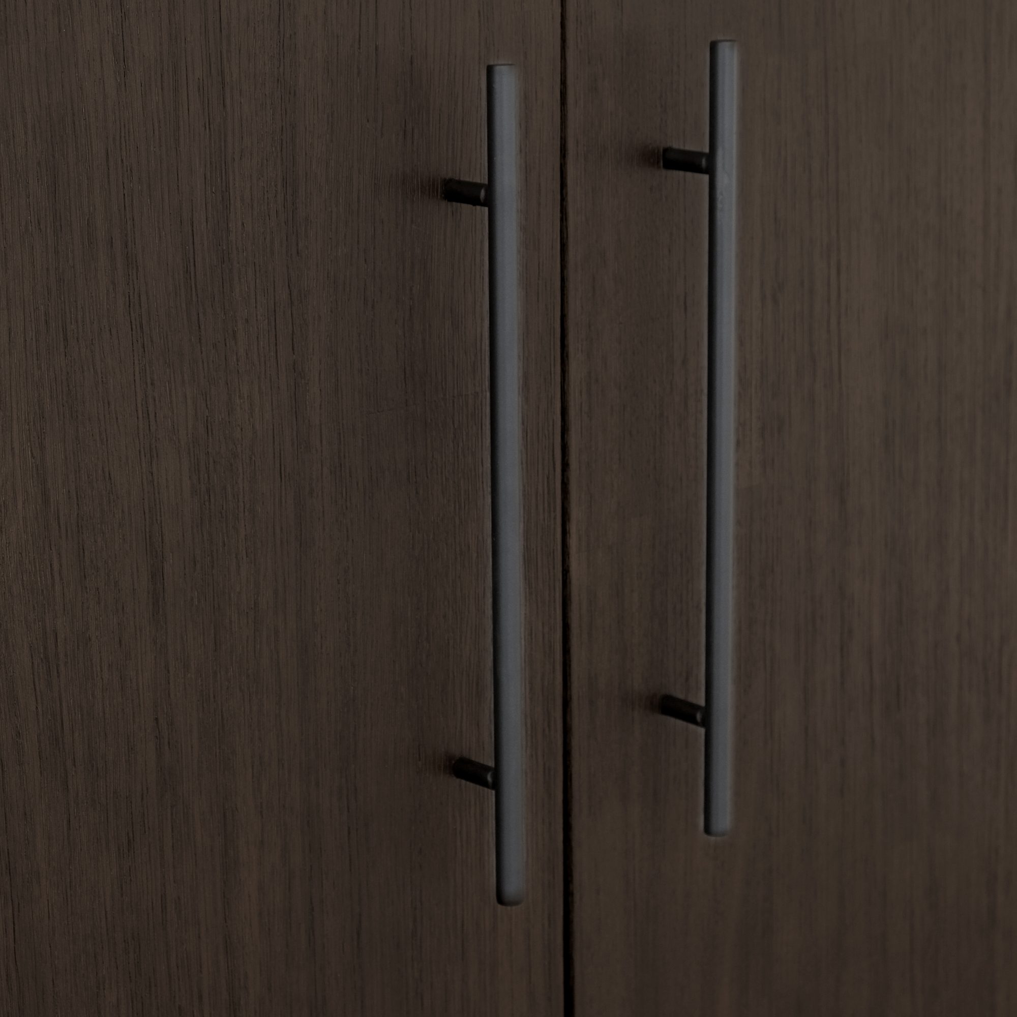 Ming Coffee Brown 2 Doors Cabinet