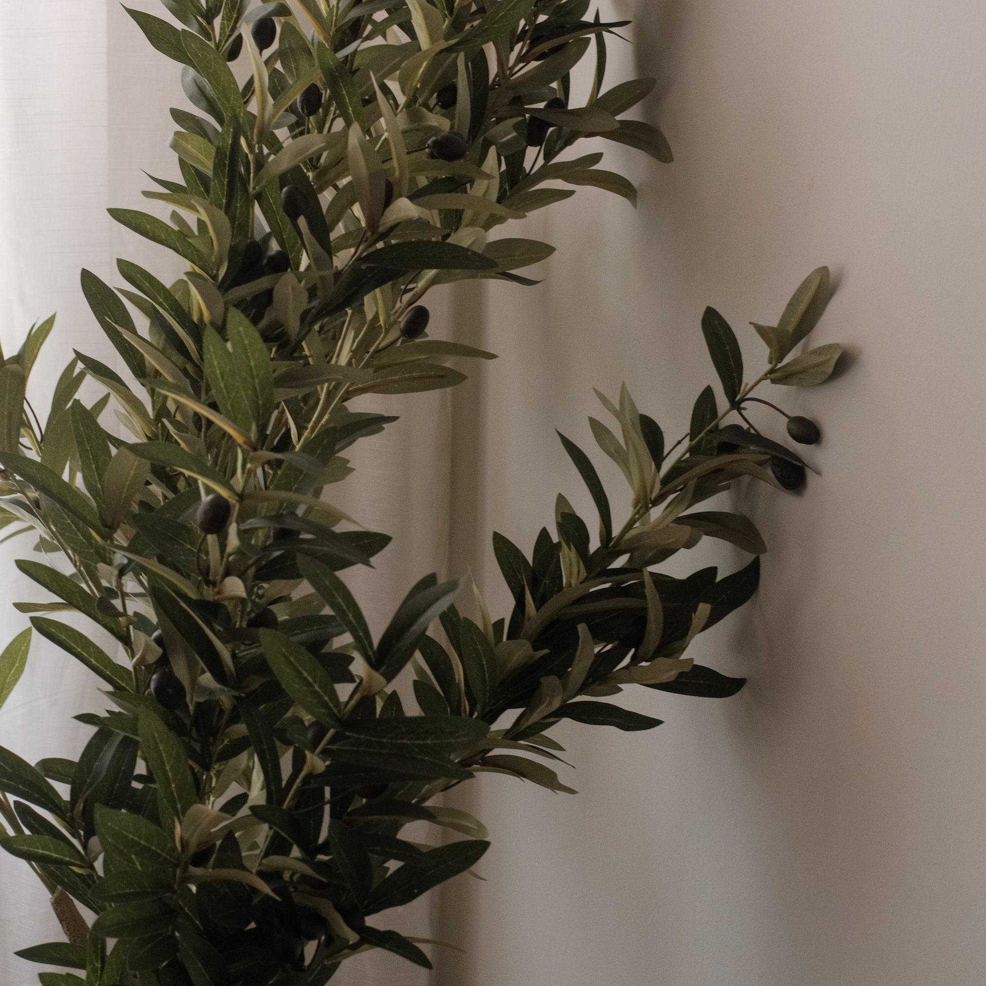 Olive Tree in Cement Pot 73cm