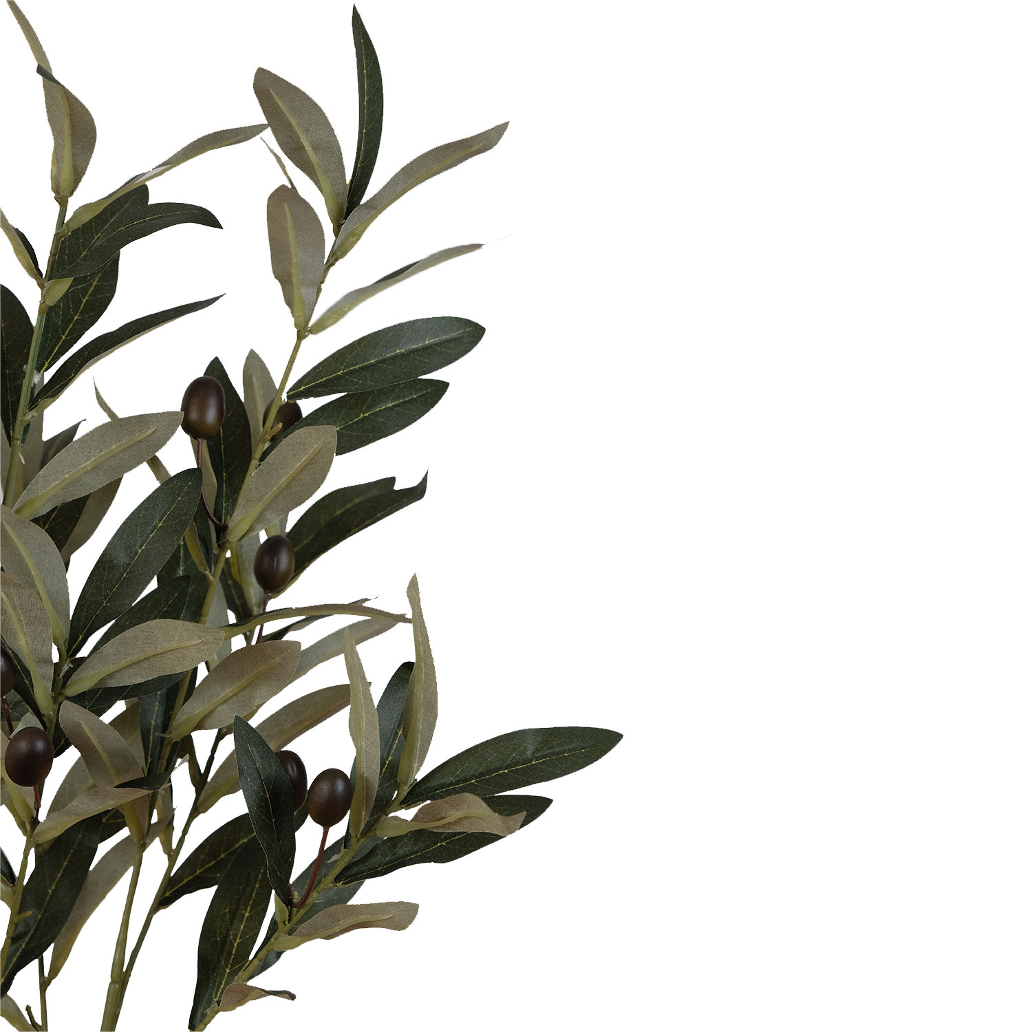 Olive Tree in Cement Pot 73cm