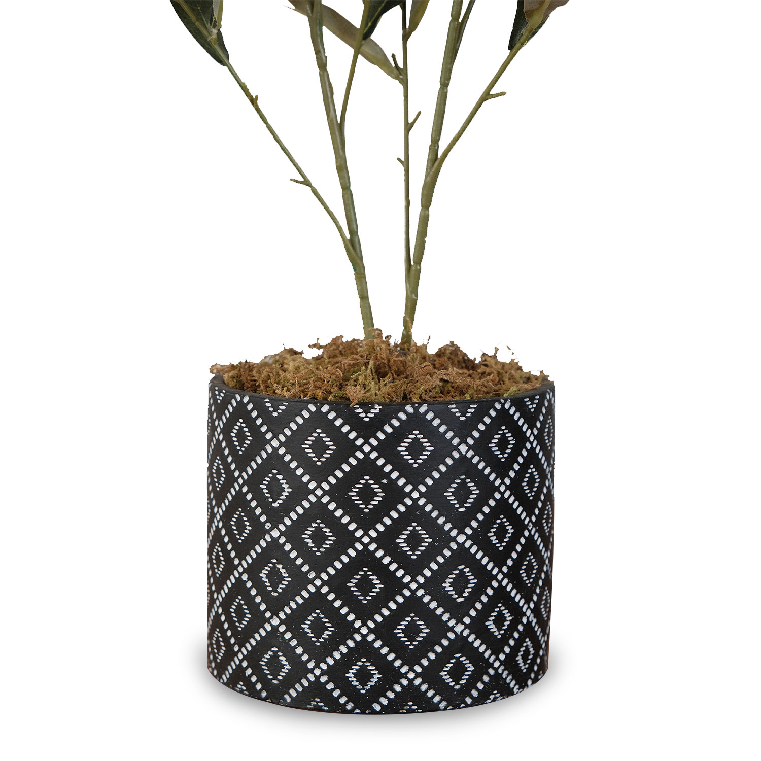 Olive Tree in Cement Pot 73cm