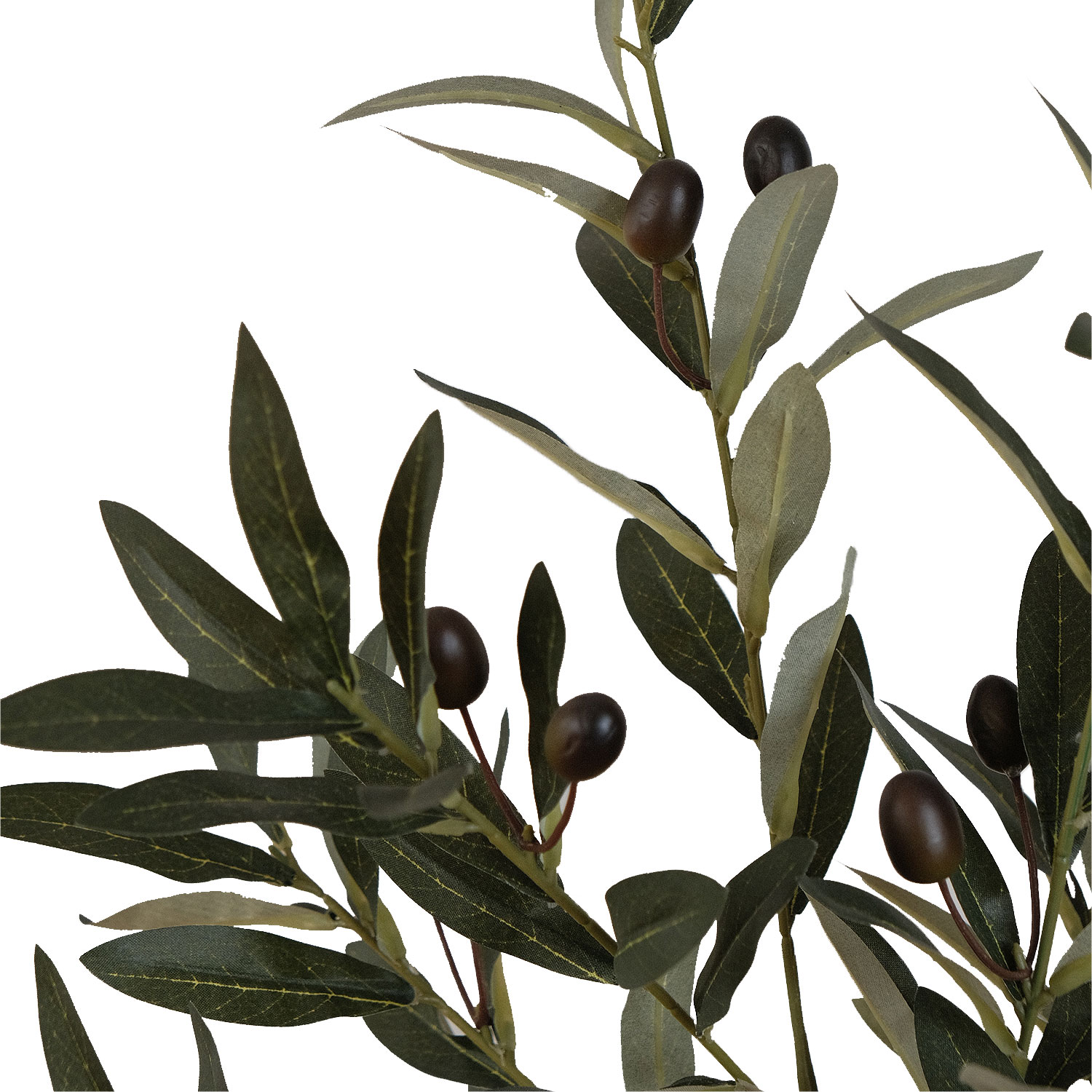 Olive Tree in Cement Pot 73cm