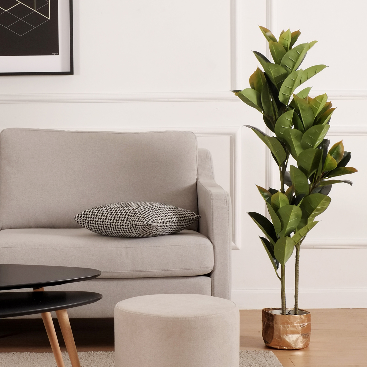 Fiddle Fig 100cm