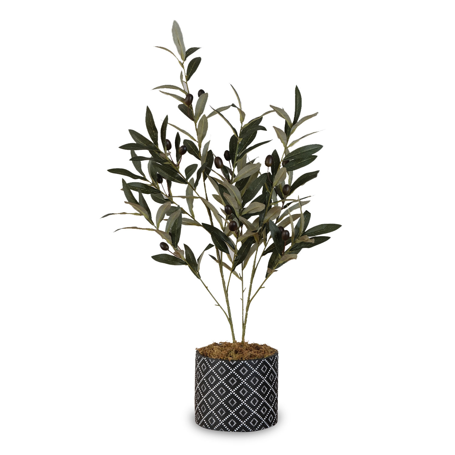 Olive Tree in Cement Pot 73cm