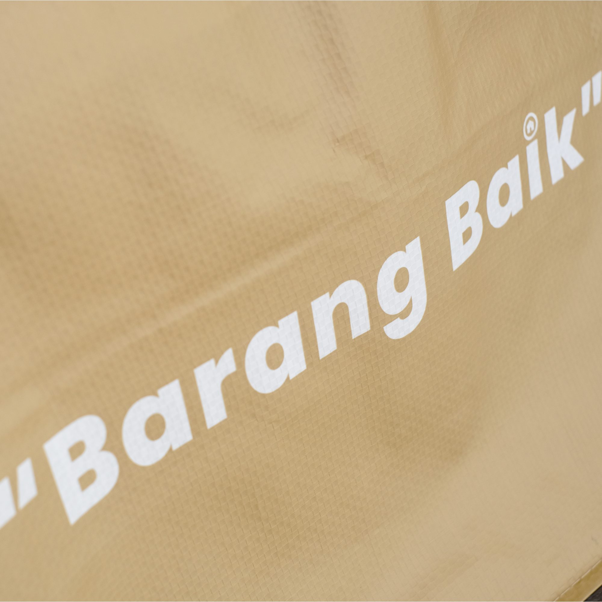 Baik Carrier Bag
