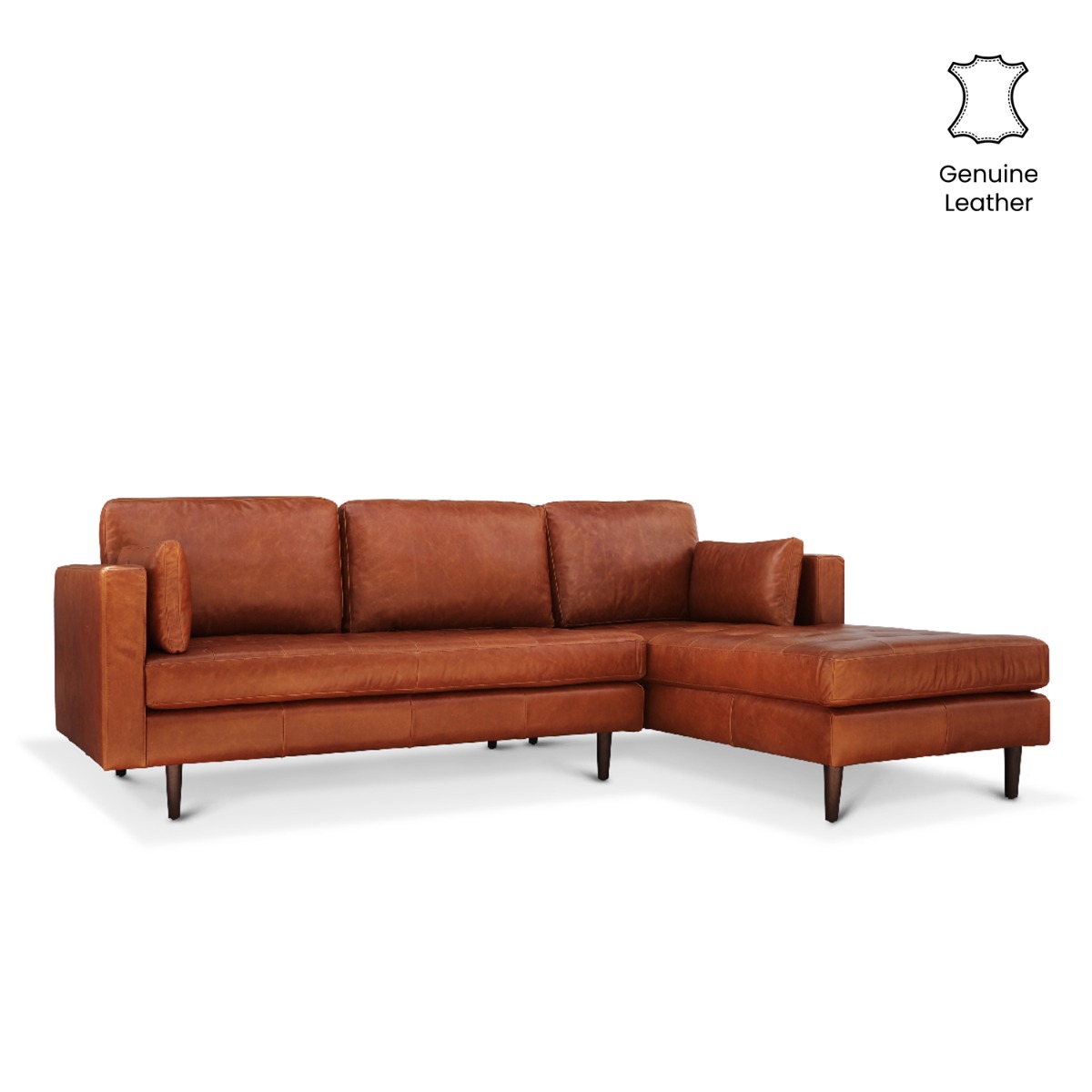 Arthur Left Sectional Sofa Anilina Leather