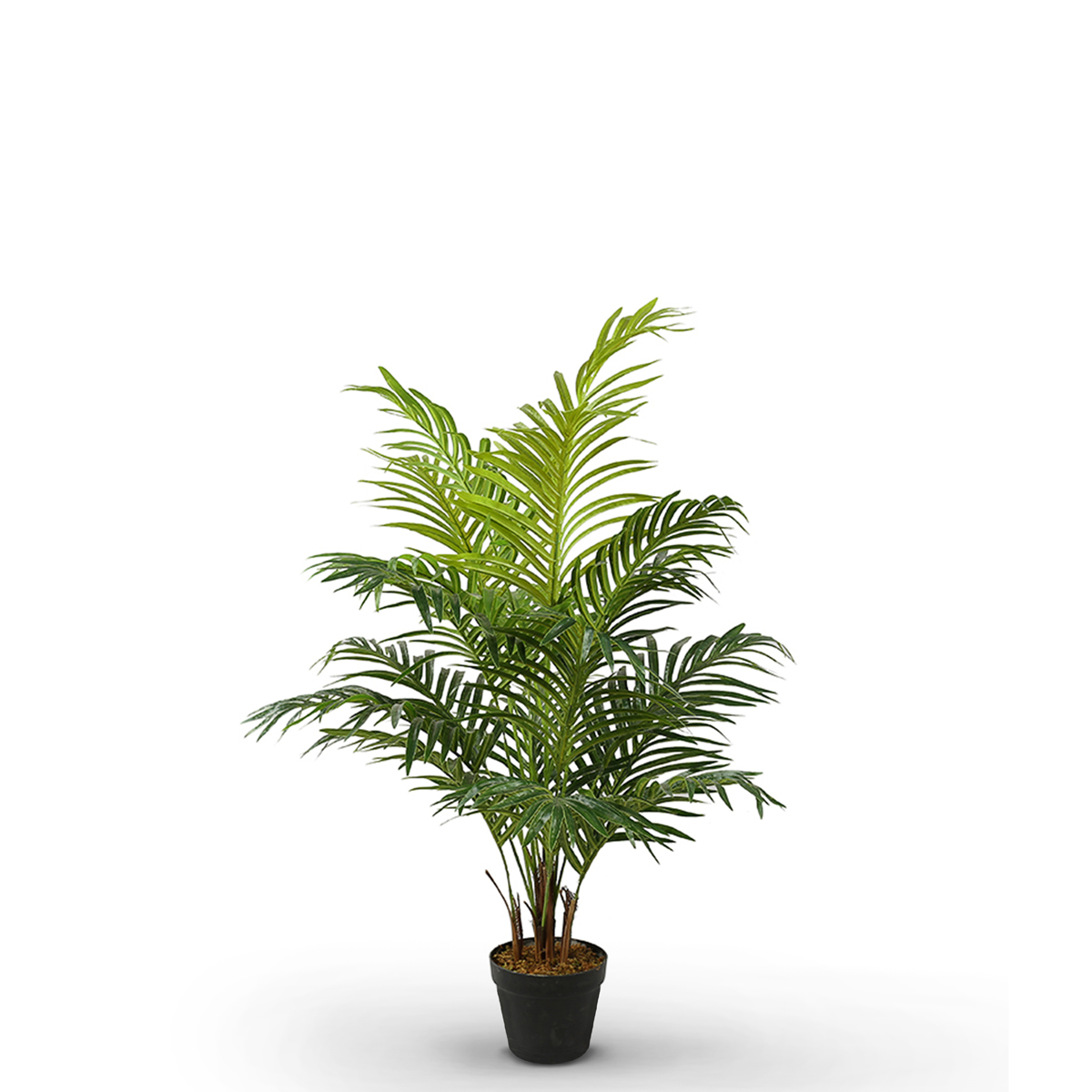 Palm Tree 100cm