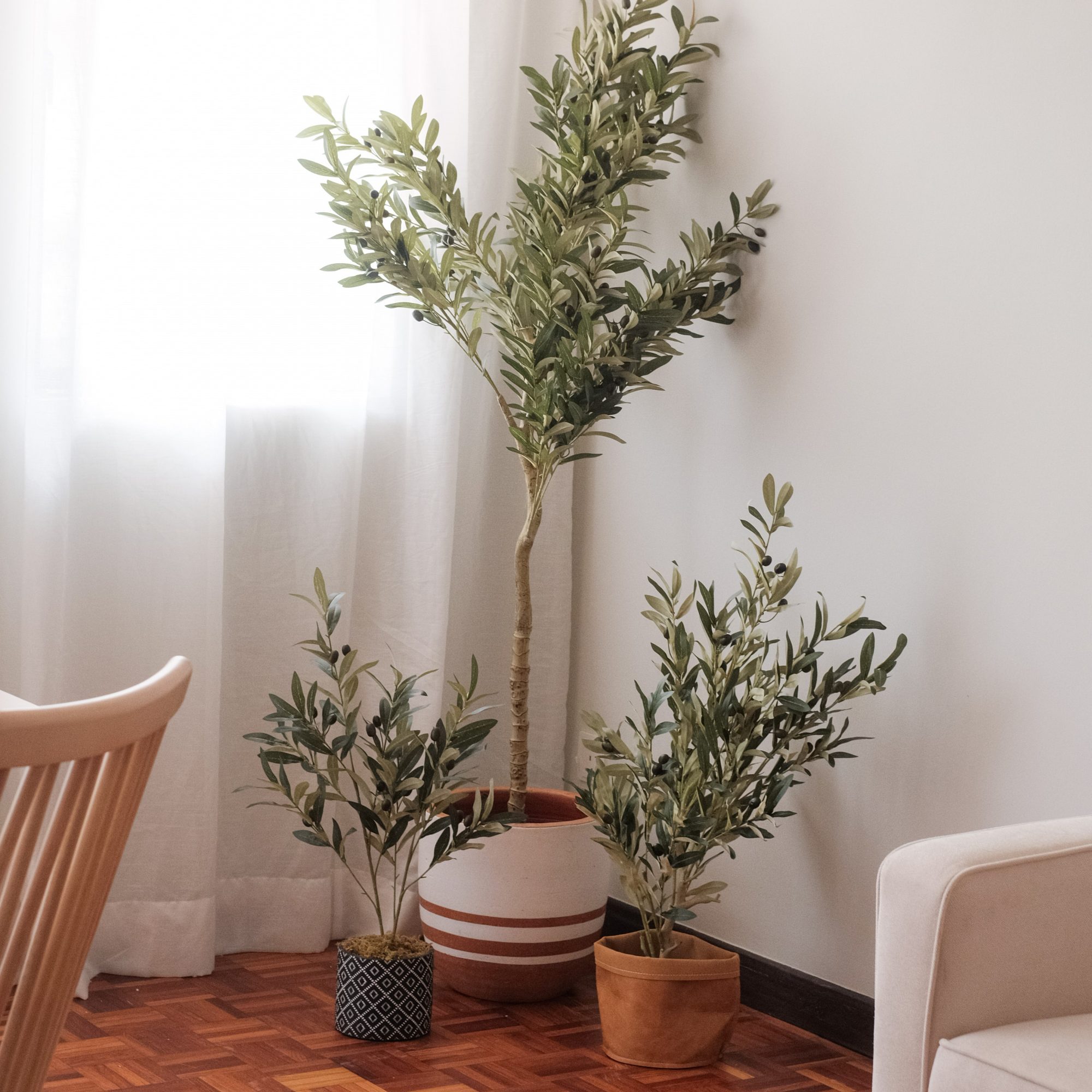 Olive Tree in Cement Pot 73cm