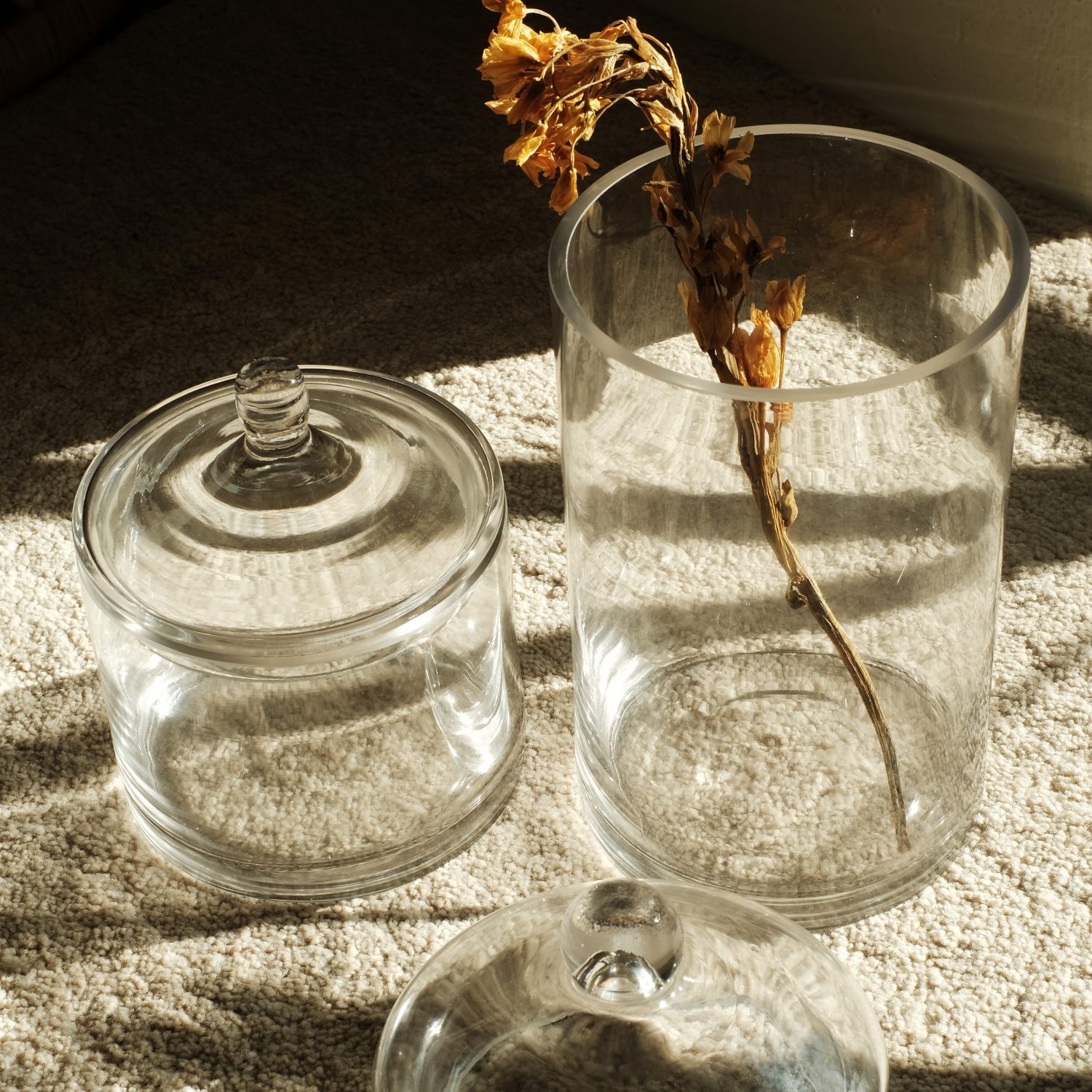 Posey Tall Glass Jar with Lid