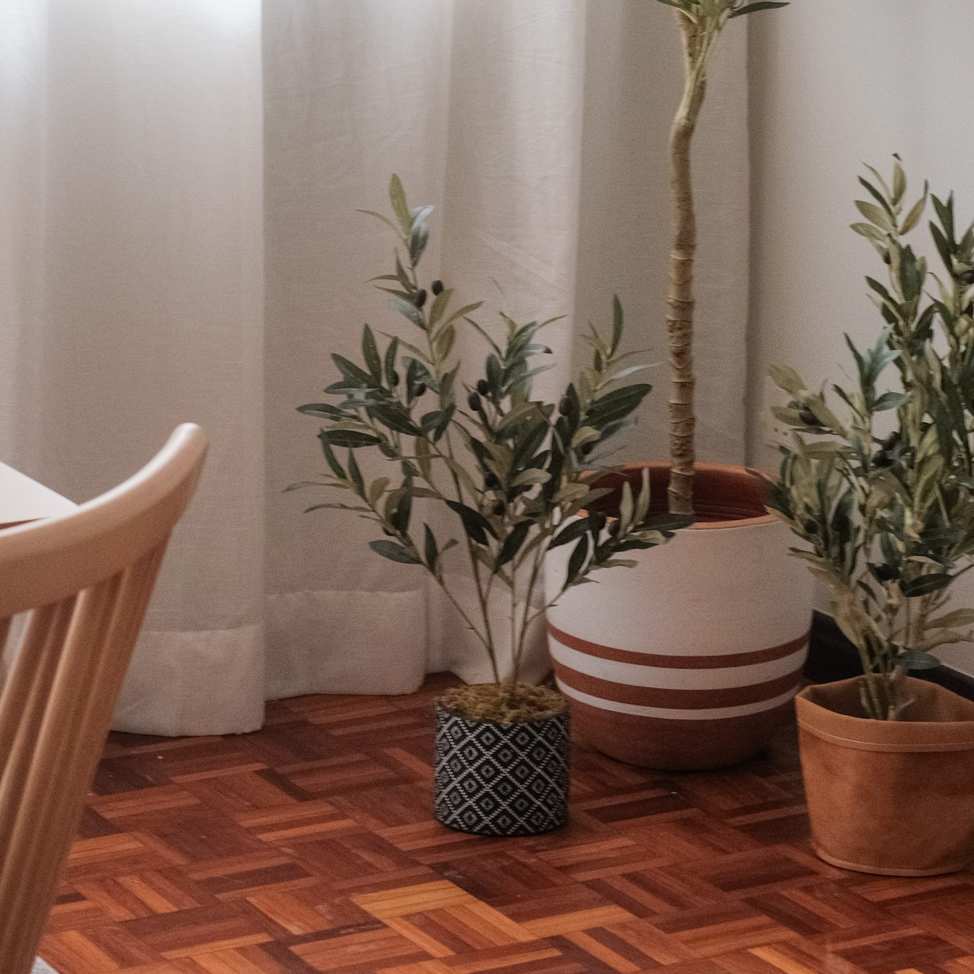 Olive Tree in Cement Pot 73cm