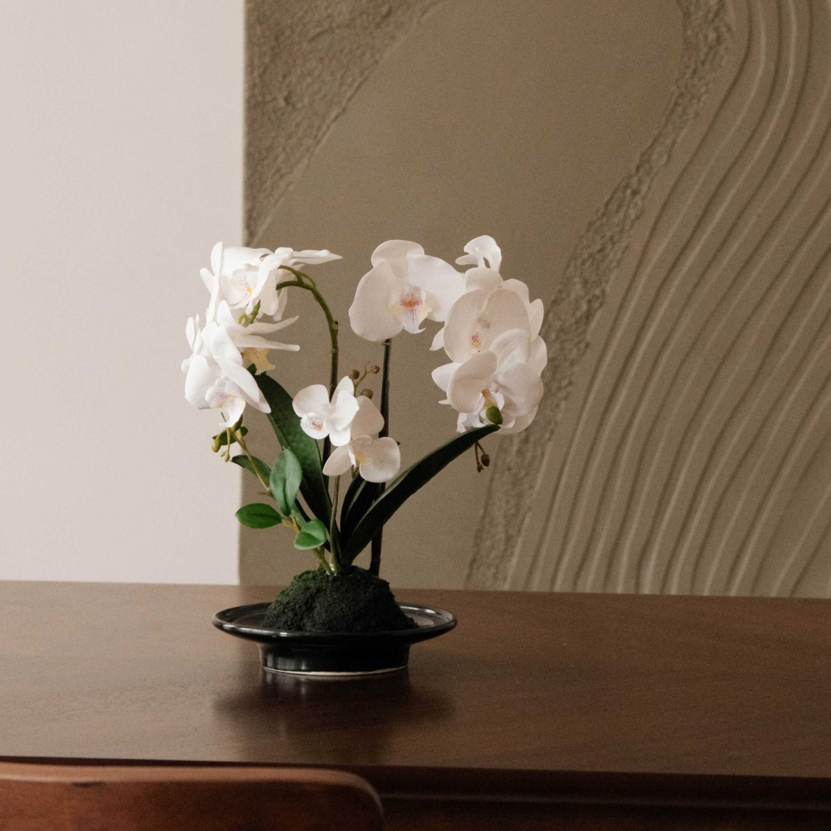 White Orchid in Black Ceramic Pot