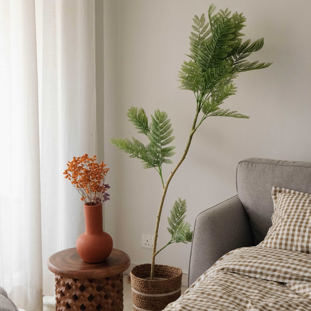 Jacaranda Tree 150cm