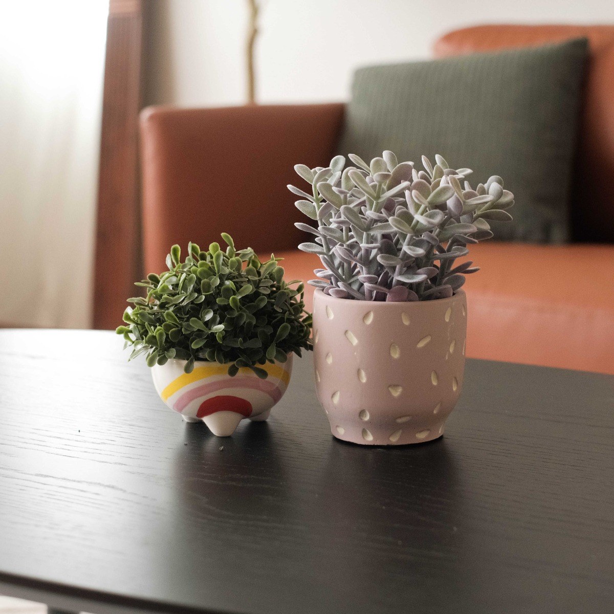Melan In Ceramic Pot