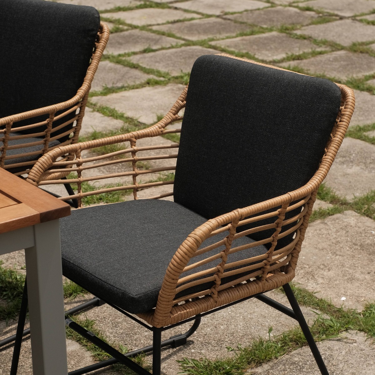 Kerria Outdoor/Indoor Dining Arm Chair