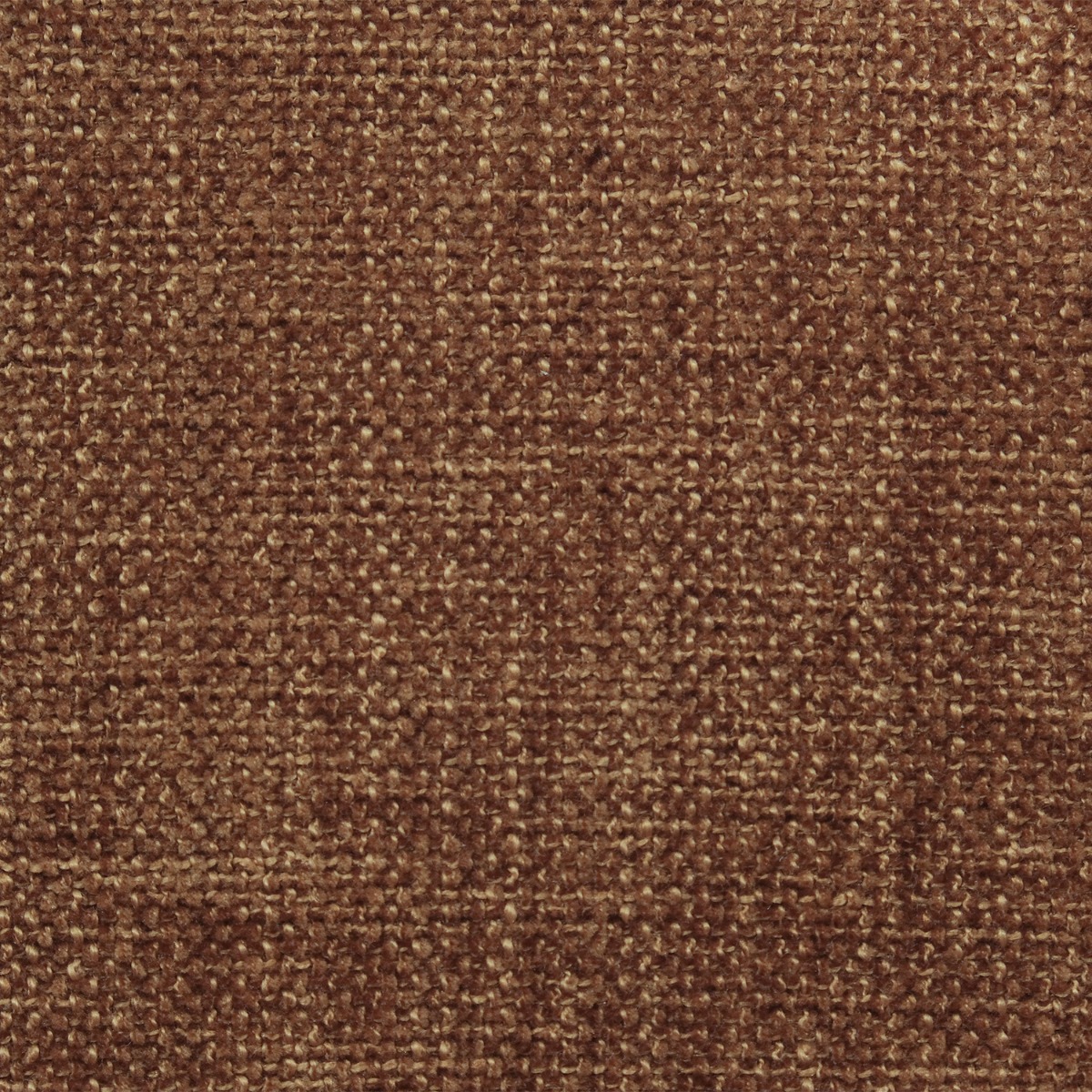 Emile Camel Brown Dining Arm Chair