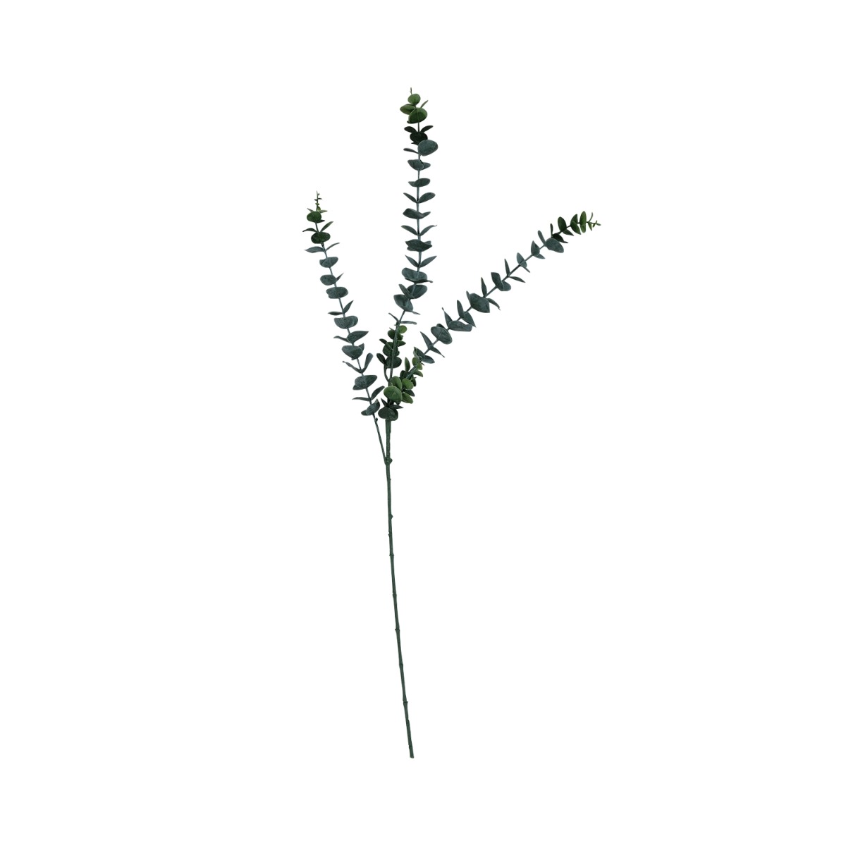 Eucalyptus Stem 76cm