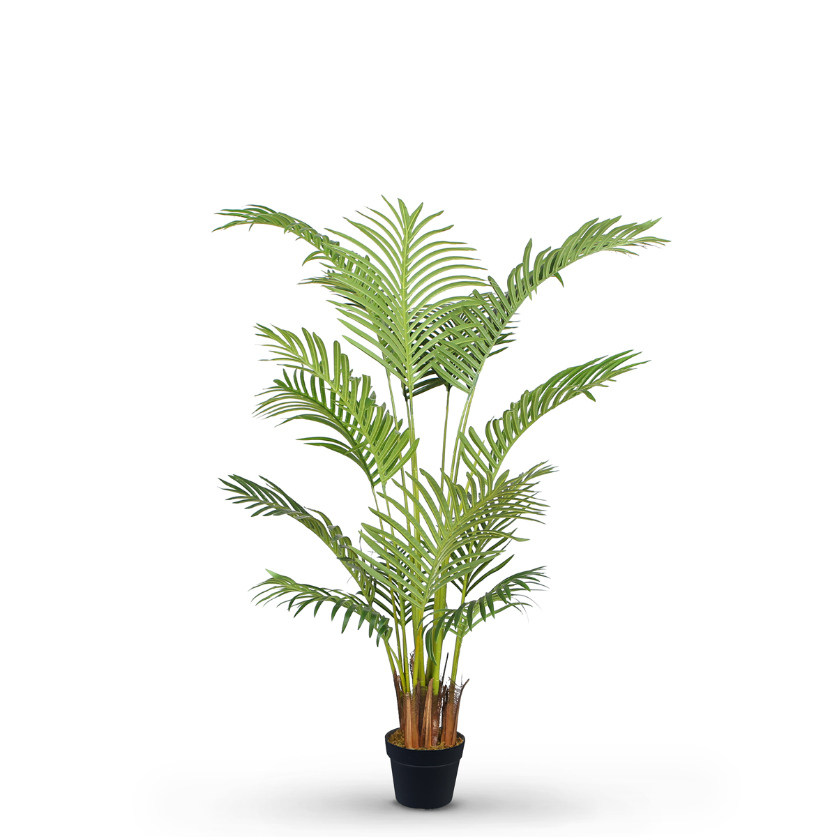 Palm Tree 140cm
