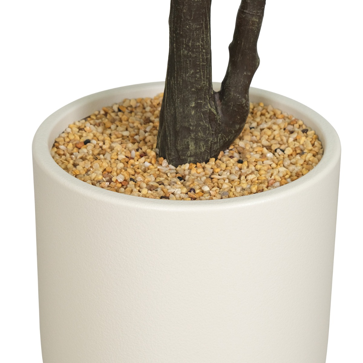 Fiddle Fig 183cm In White Pot