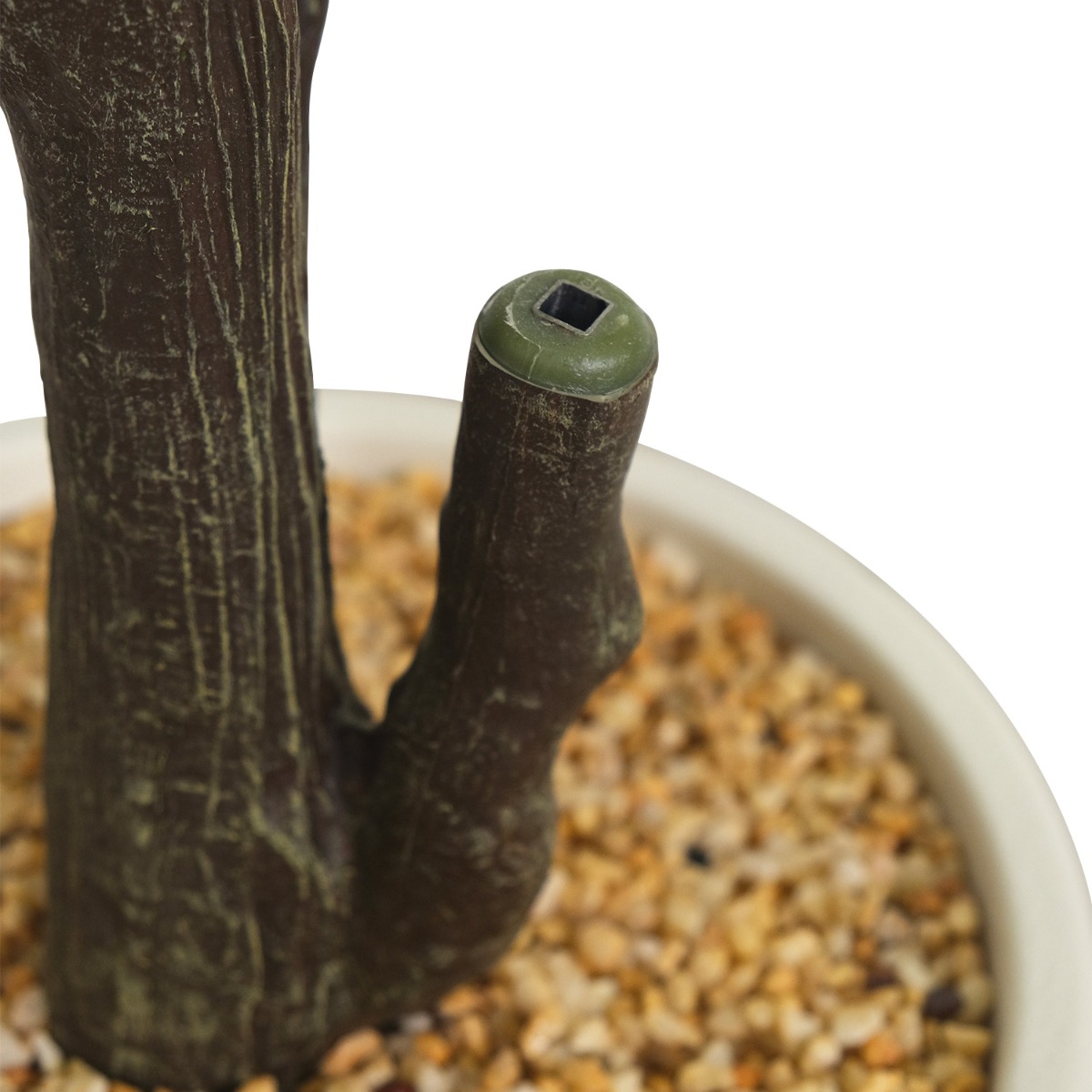 Fiddle Fig 183cm In White Pot