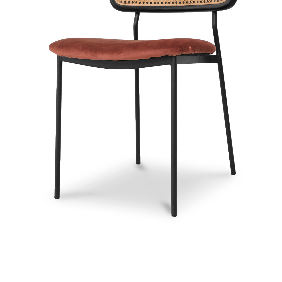 Gaia Ebony Dining Chair Umber Brown Velvet