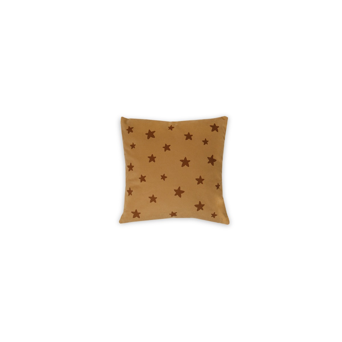Little Lion Cushion 34x34cm