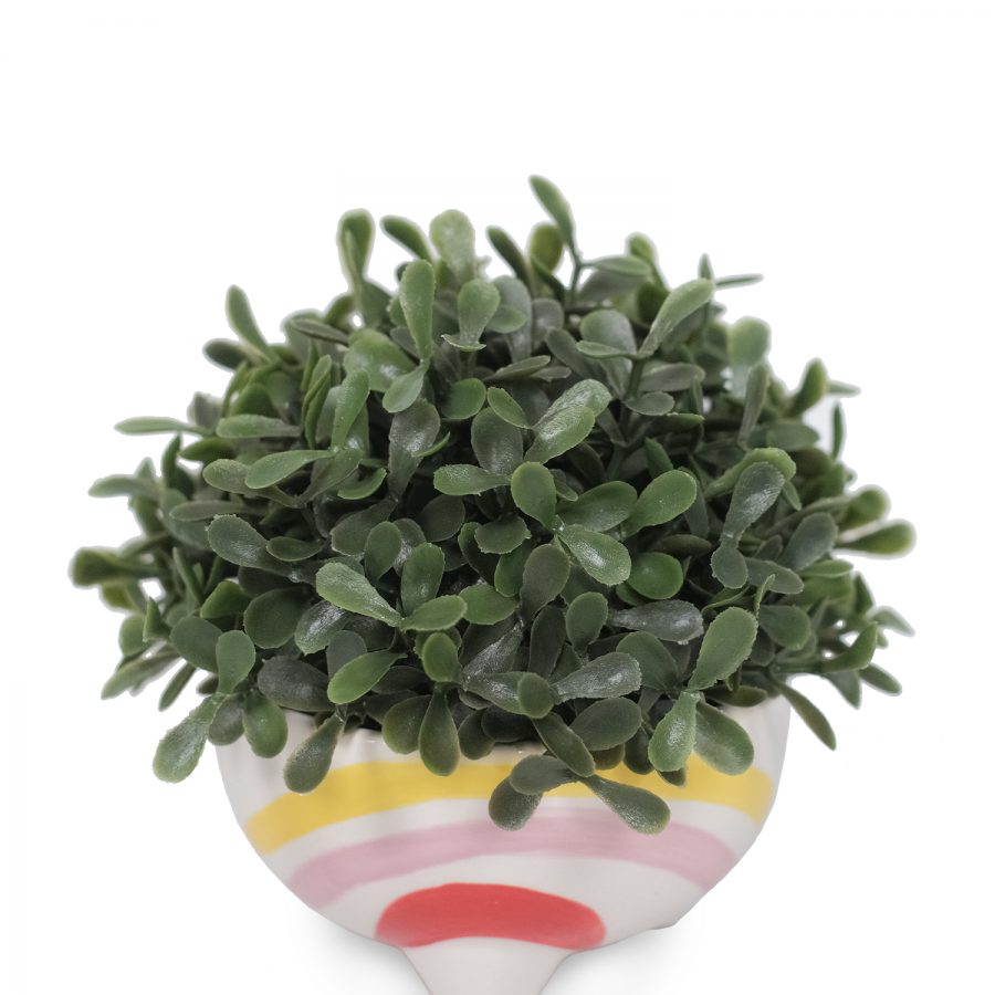 Melan In Ceramic Pot