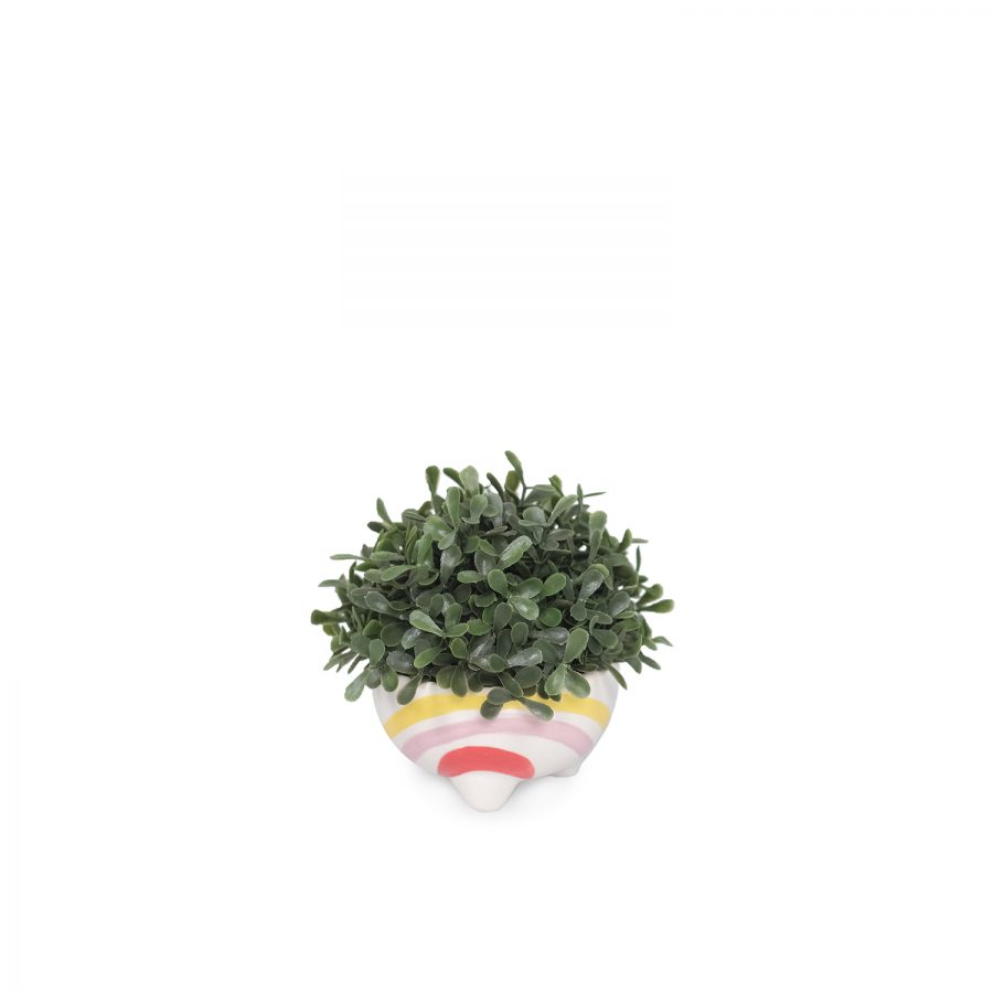 Melan In Ceramic Pot
