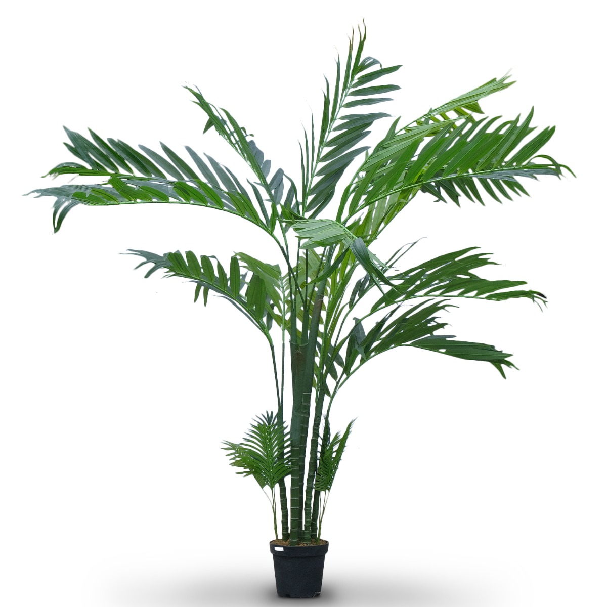 Palm Tree 280cm