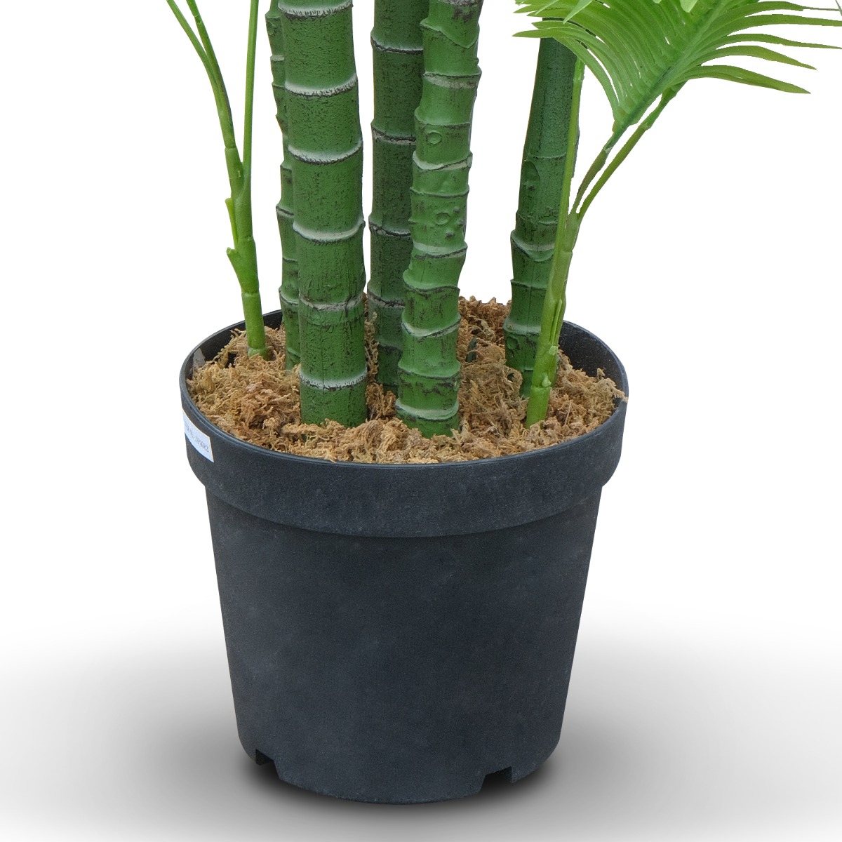 Palm Tree 280cm