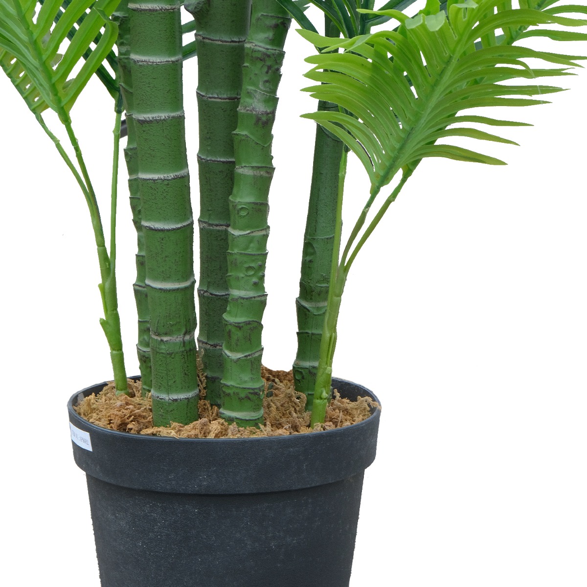 Palm Tree 280cm