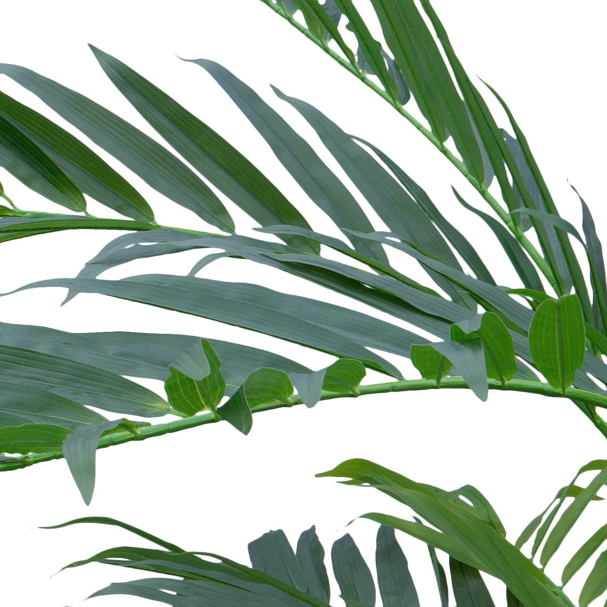 Palm Tree 280cm