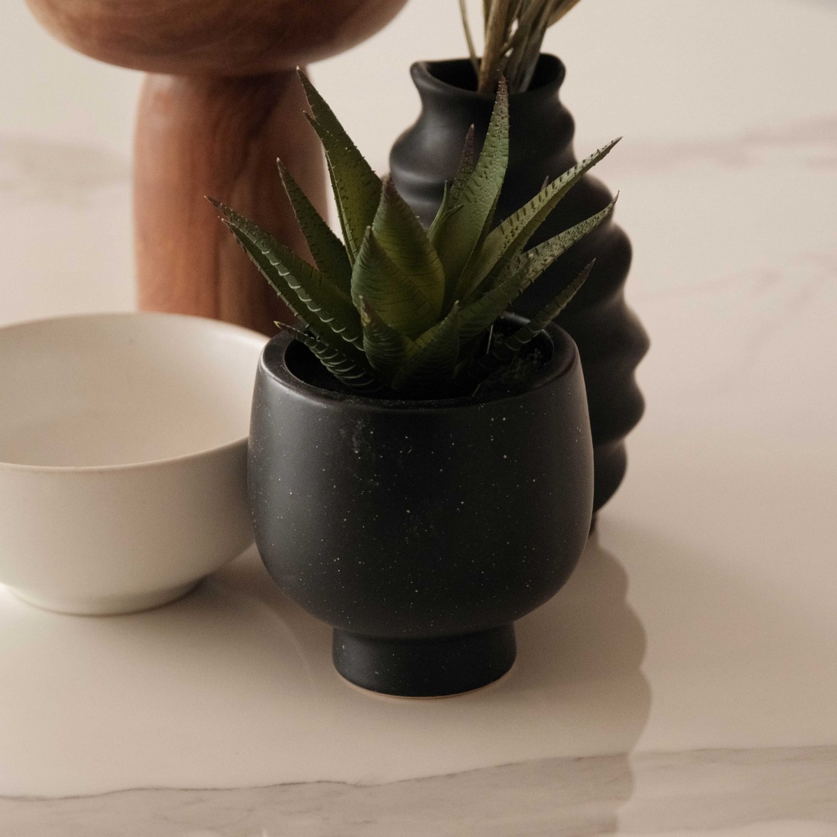 Aloe in Ceramic Pot