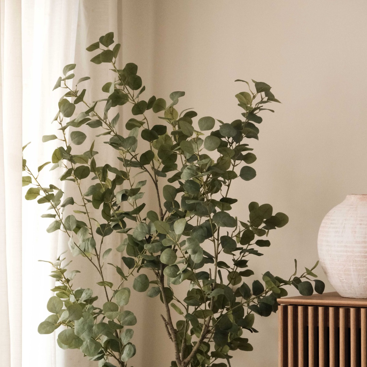 Eucalyptus Tree 180cm In White Pot