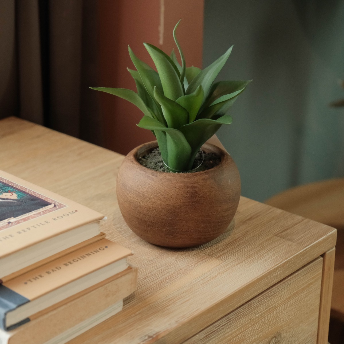 Agave in Paper Mache Pot