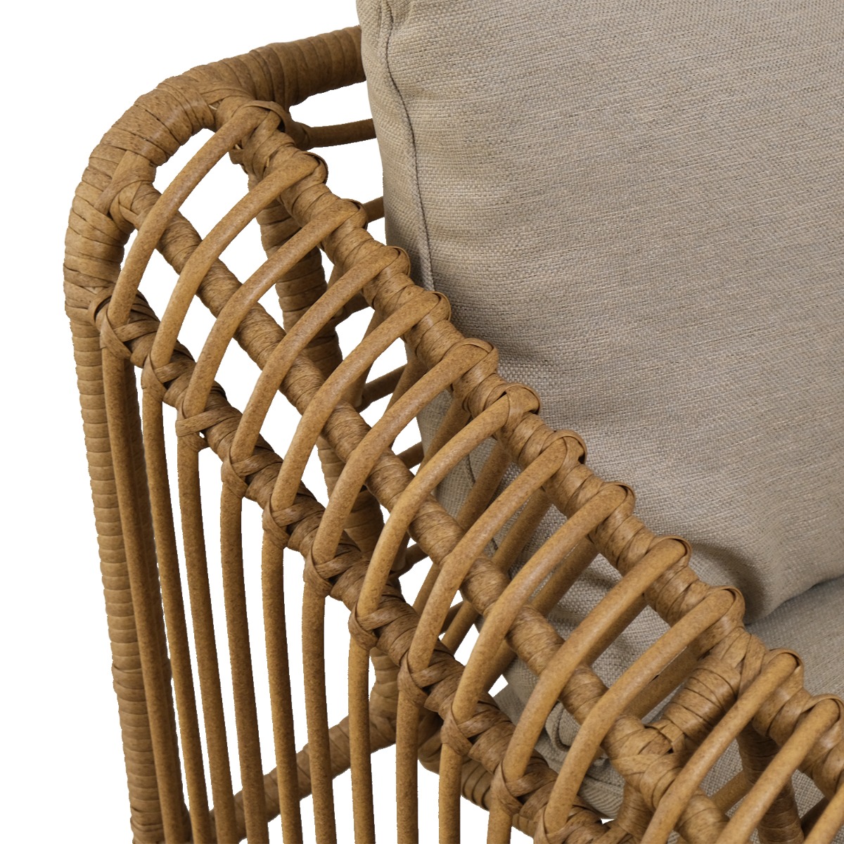 Quesnelia Outdoor Lounge Chair