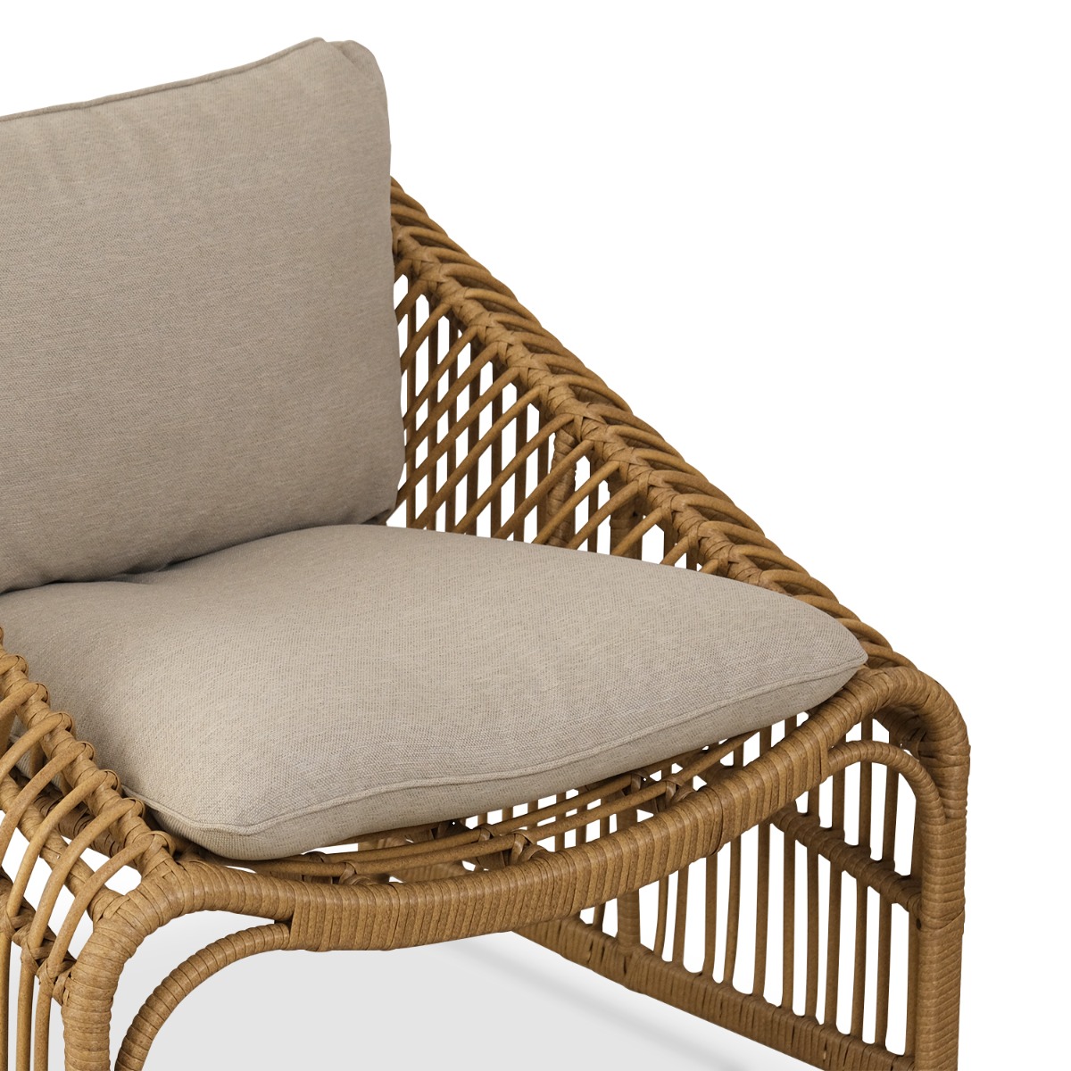 Quesnelia Outdoor Lounge Chair