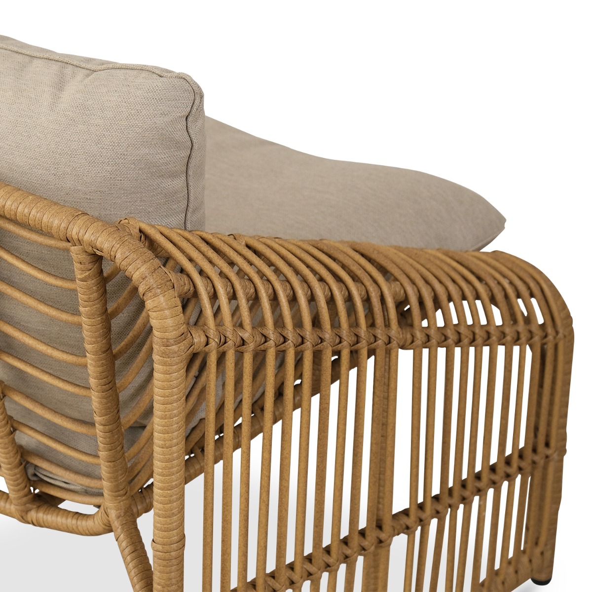 Quesnelia Outdoor Lounge Chair