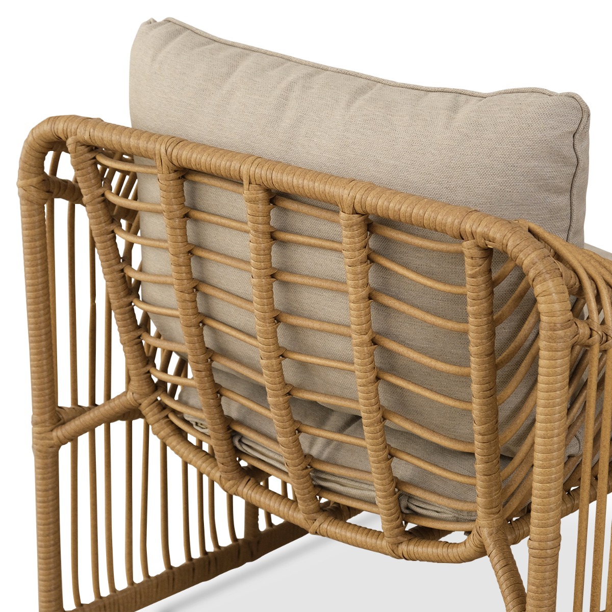 Quesnelia Outdoor Lounge Chair