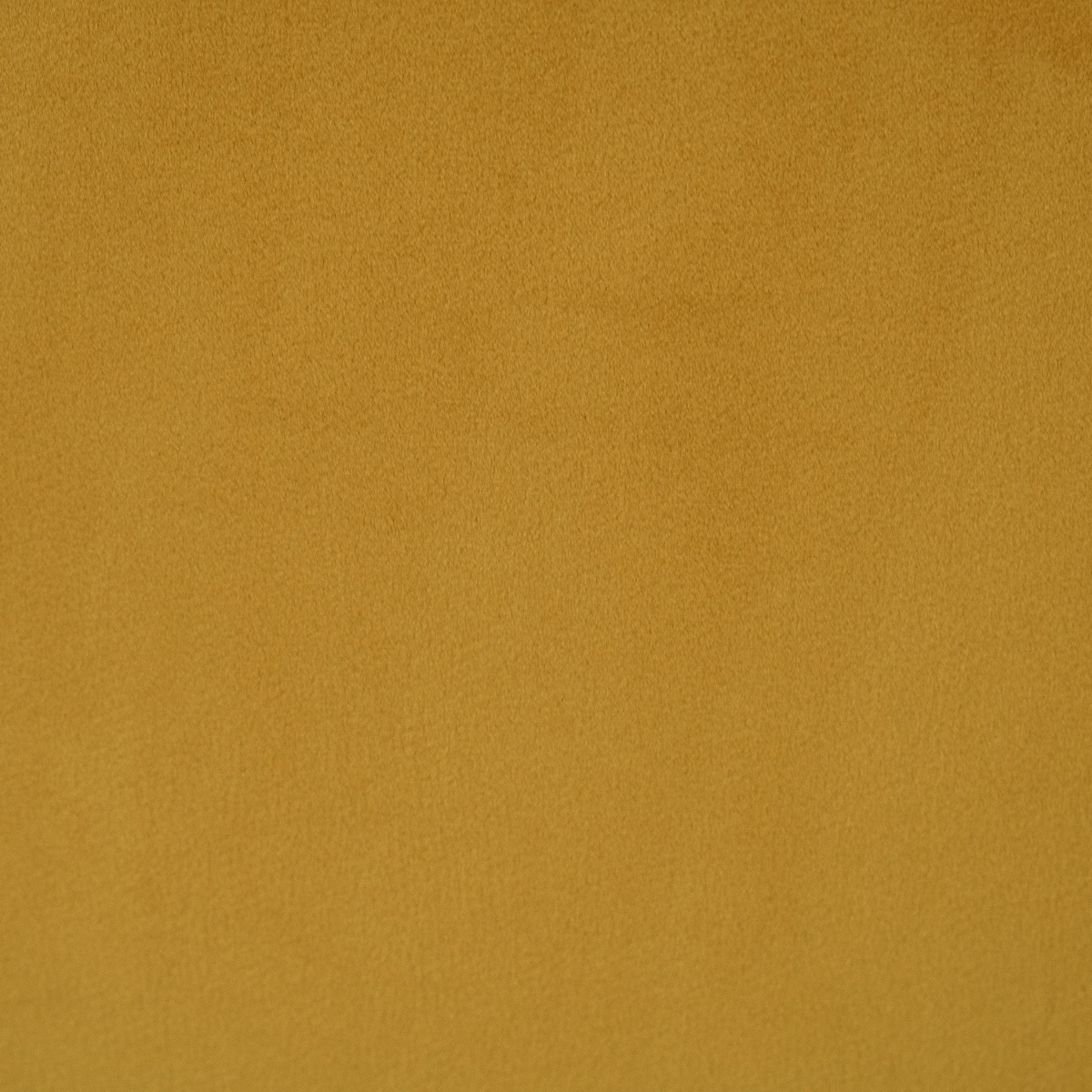 Sera Dining Chair Blonde