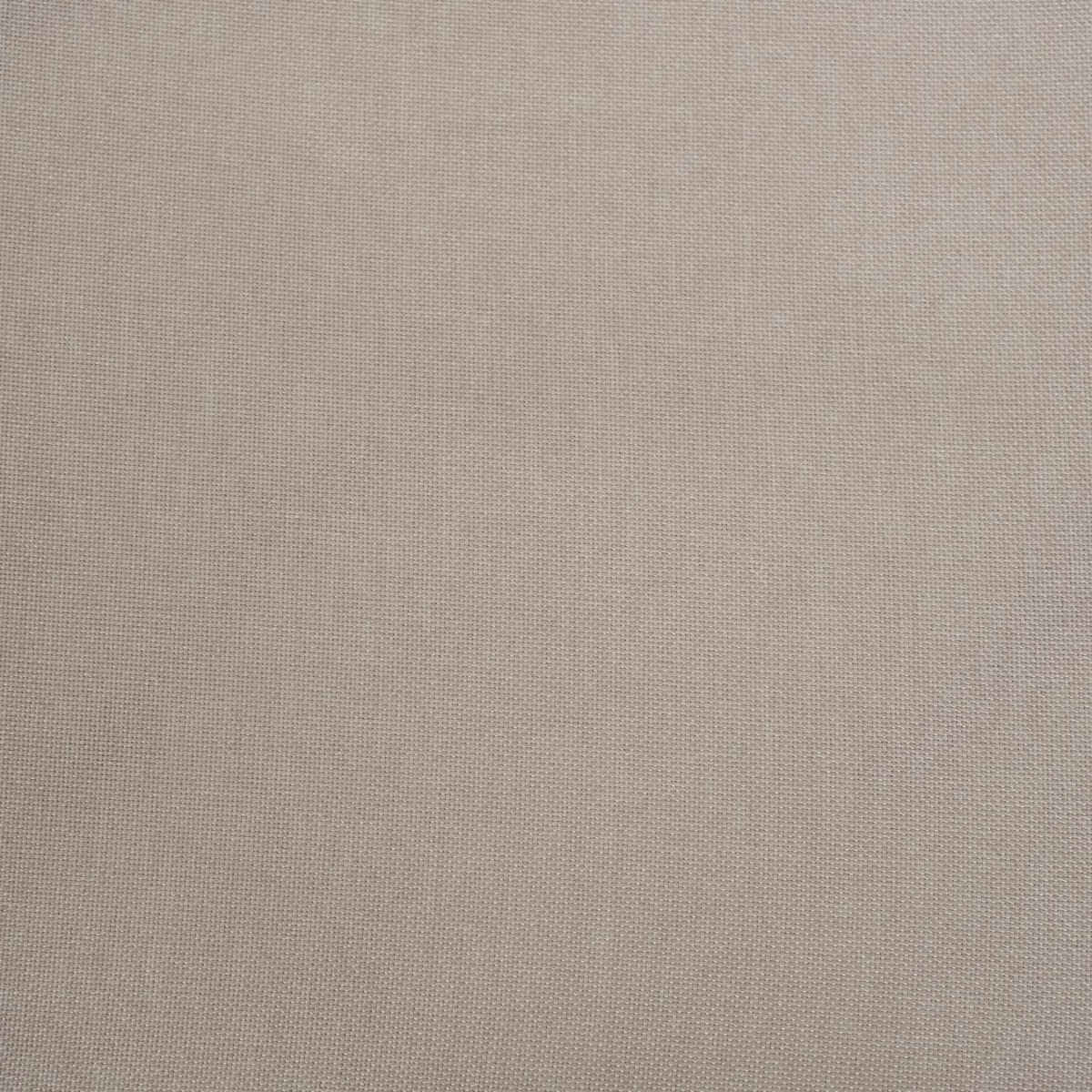 Sera Dining Chair Oatmeal