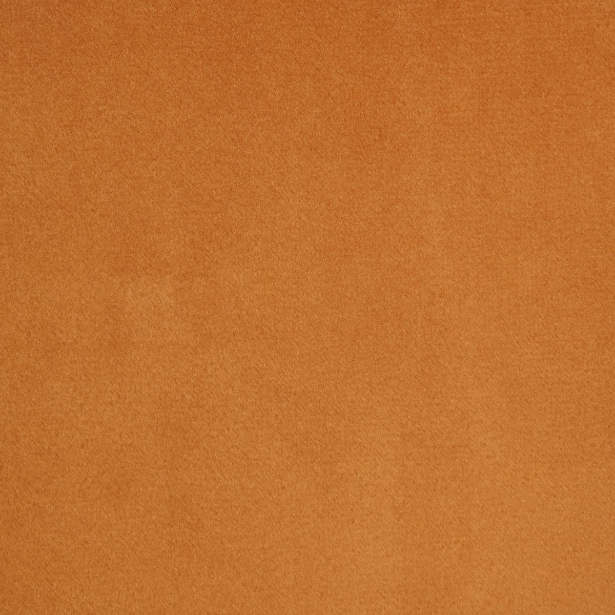 Sera Dining Chair Tangerine Velvet